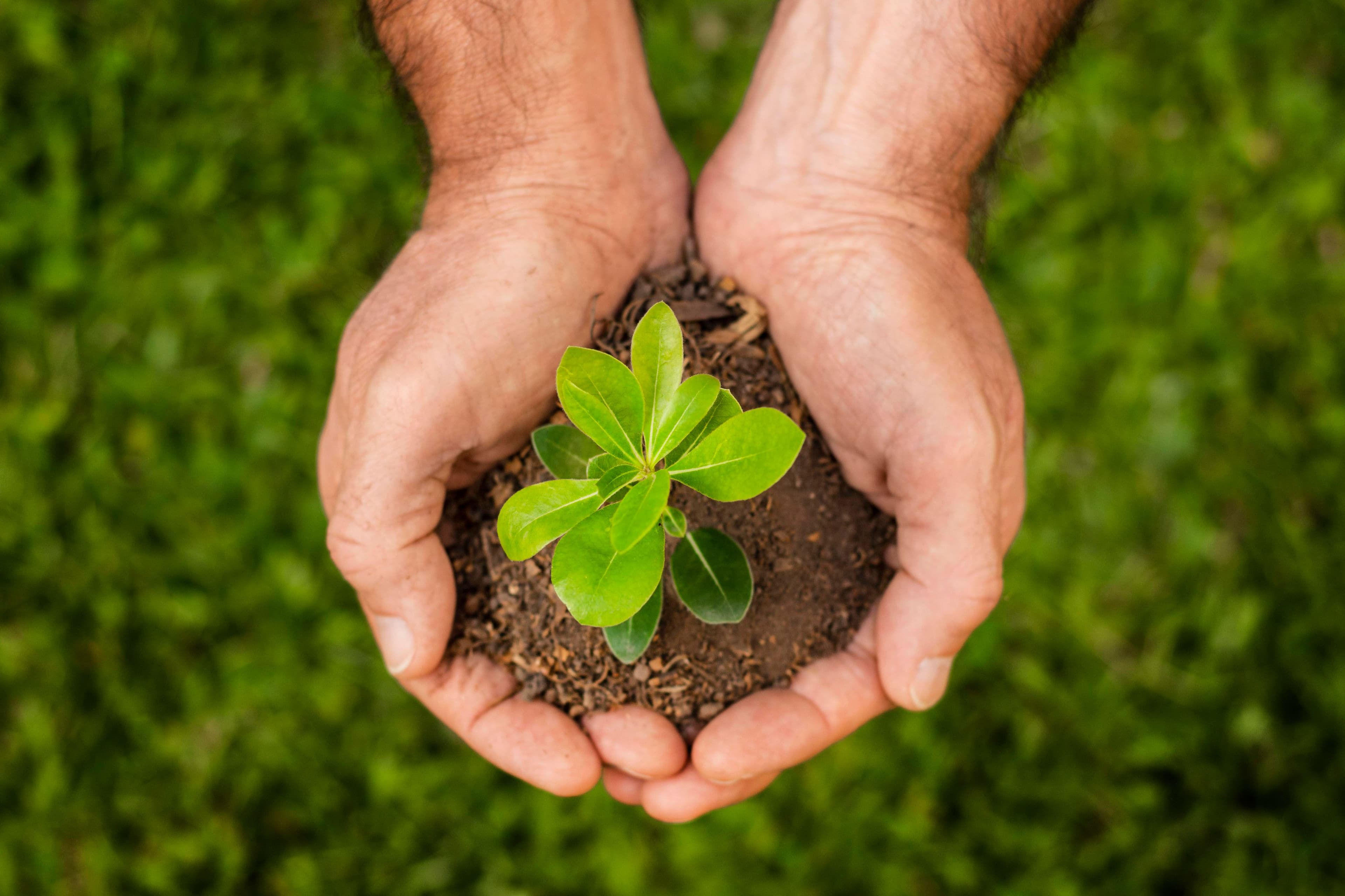 Sustentabilidade