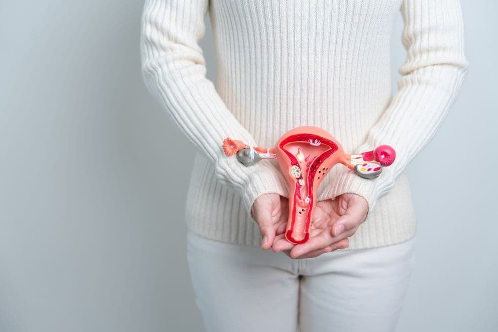 Histerectomia: o que é, quando é indicada e mais!